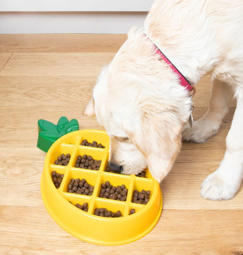 ZippyPaws Happy Bowl Donut | Slow Feeder Dog Bowl
