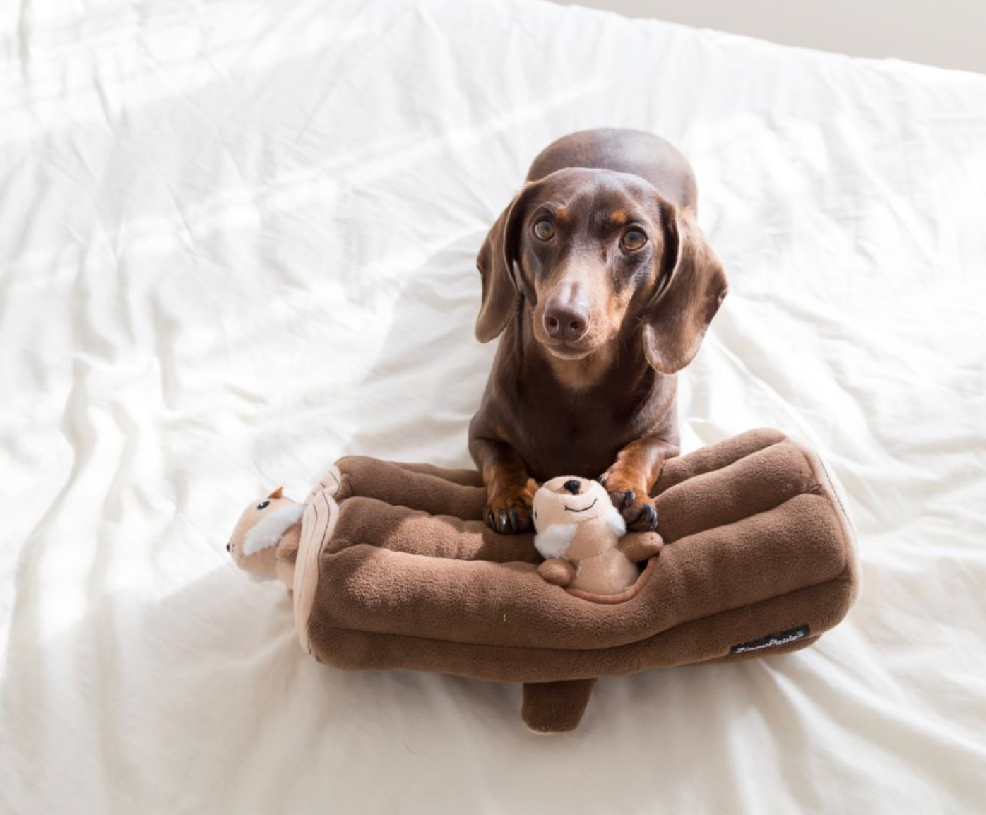 Zippy Burrow - Log with 3 Chipmunks | Interactive Hide and Seek Toy