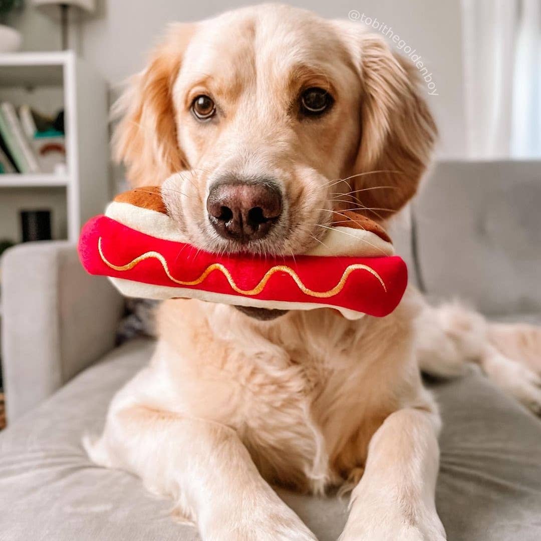Haute Dawg Small Dog Toy – Plush Hot Dog Parody