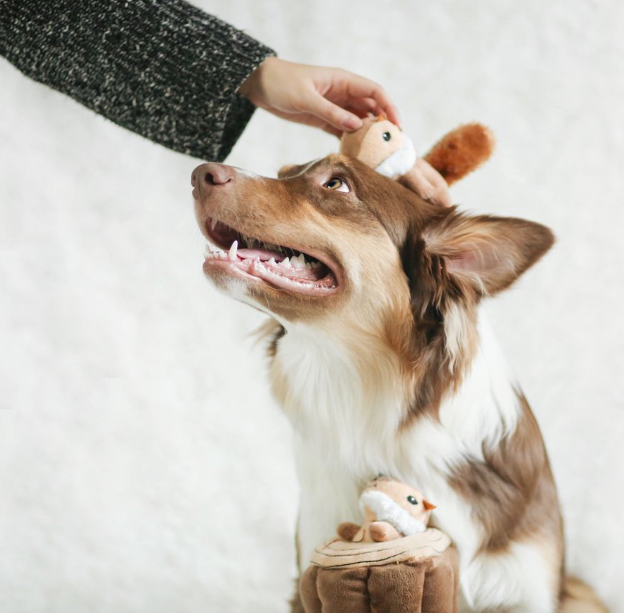 Zippy Burrow - Log with 3 Chipmunks | Interactive Hide and Seek Toy