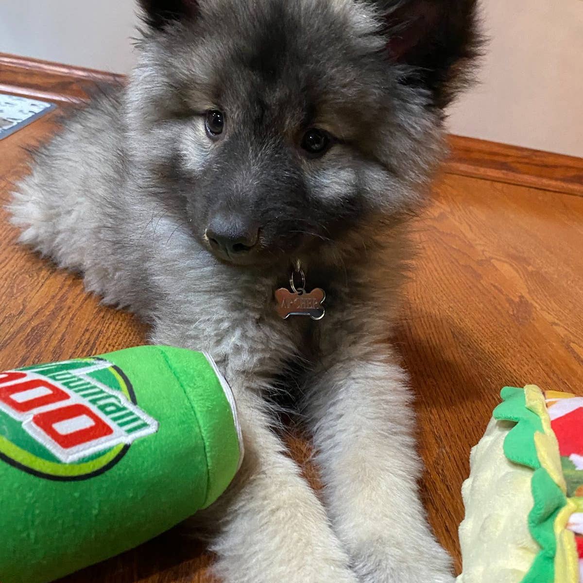 Mountain Poo Soda (Large)