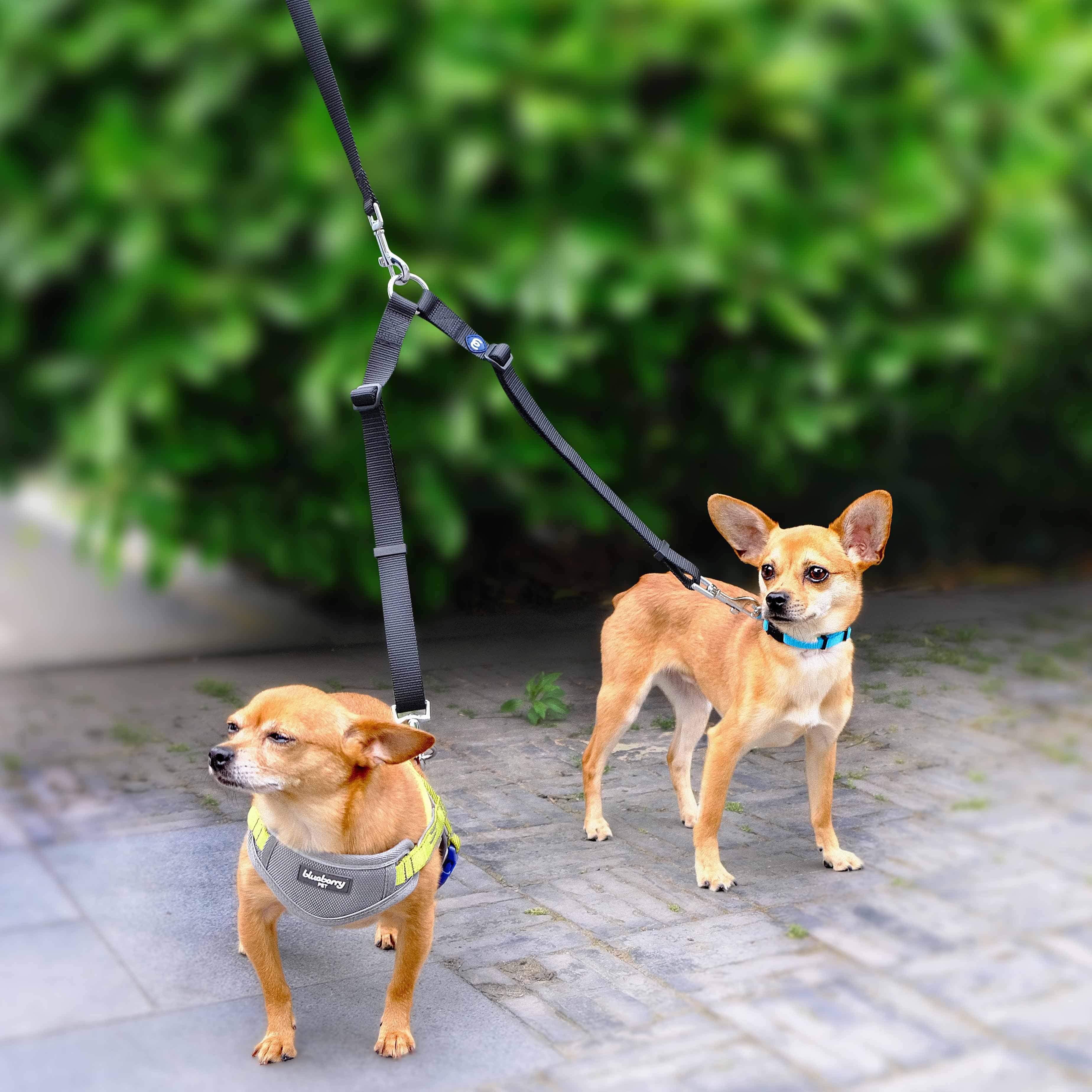Double Dog Leash Coupler – Dark Orchid Tangle-Free Lead Splitter (Small)