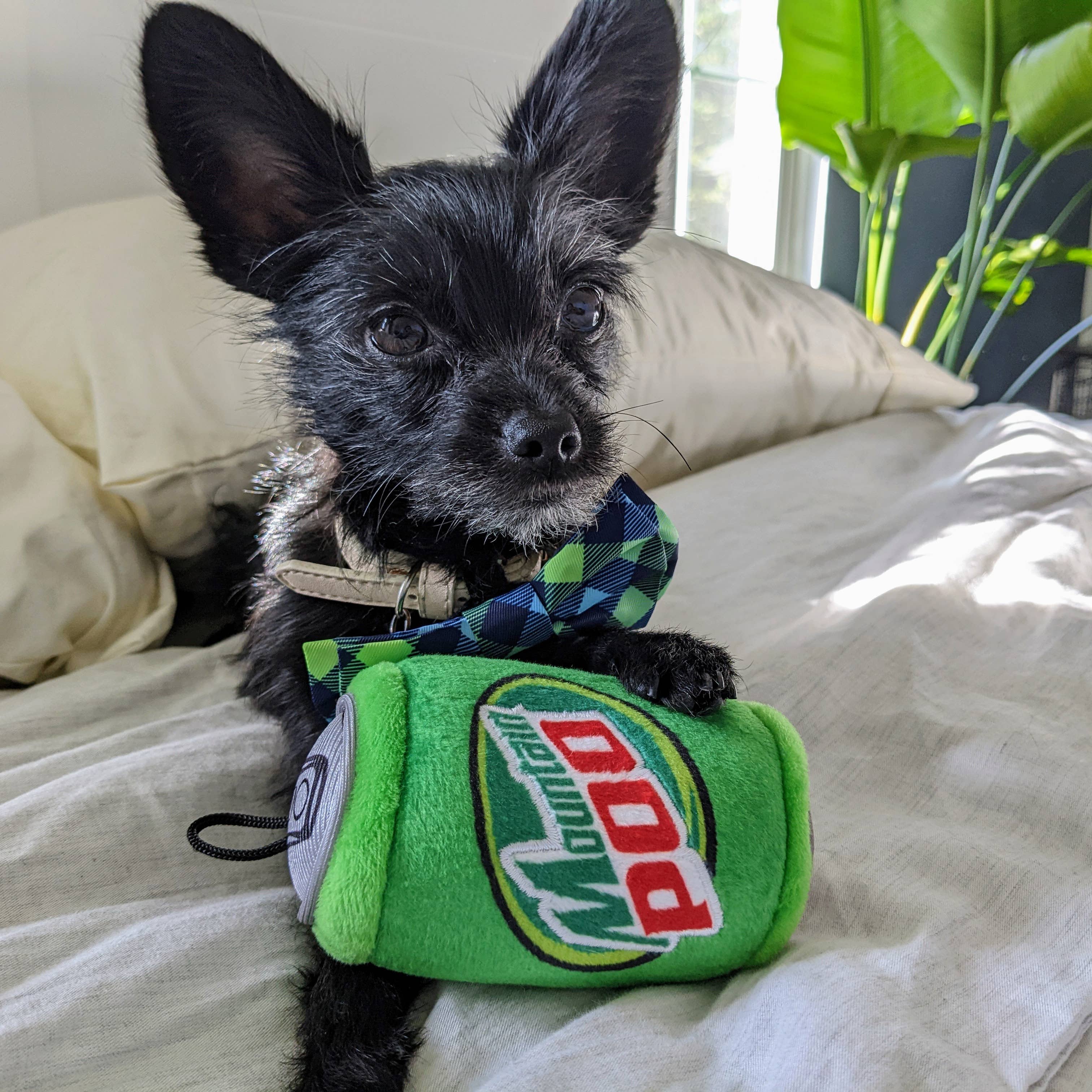 Mountain Poo Small Dog Toy – Plush Citrus Soda Parody