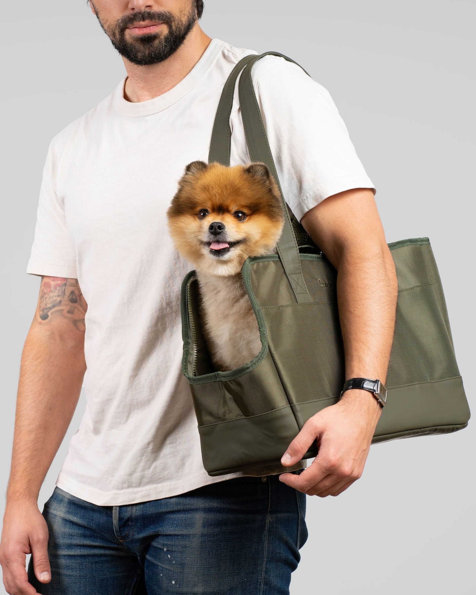Olive Green Pet Tote Bag | Earth Tone Carrier