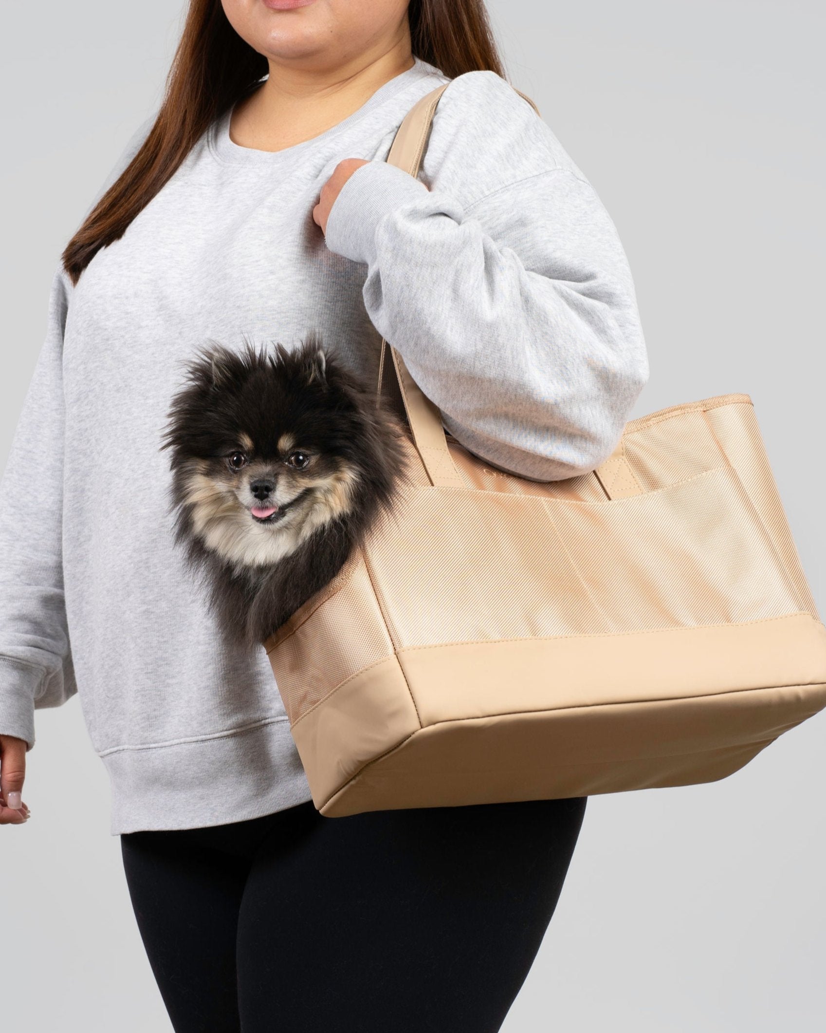 Beige Pet Tote Bag | Timeless Neutral Carrier