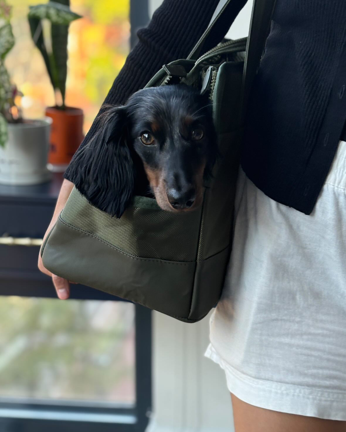 Olive Green Pet Tote Bag | Earth Tone Carrier