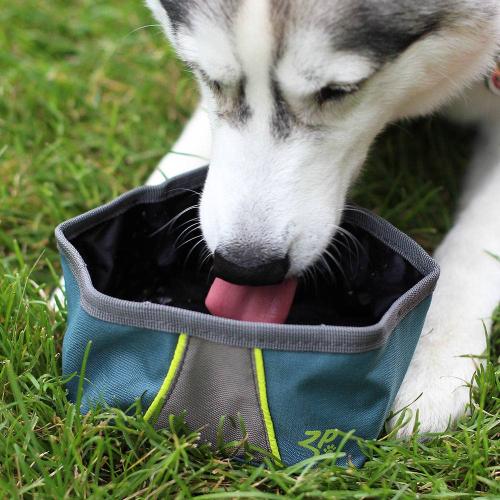 ZippyPaws Adventure Bowl | Portable Travel Dog Bowl