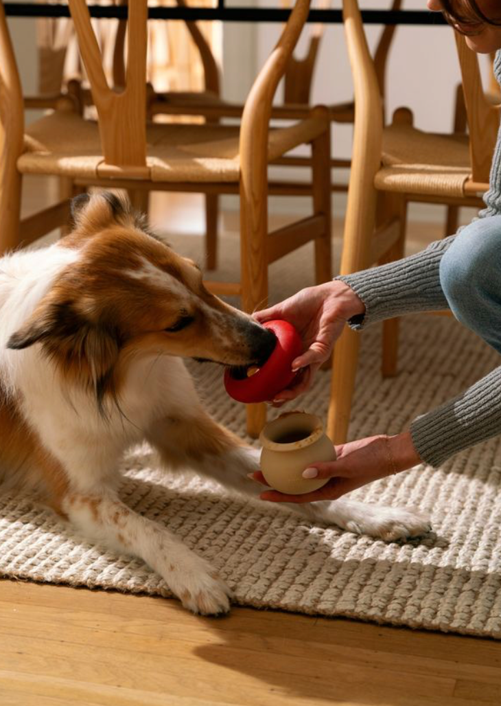 SmartyPaws Mushroom Tumbler | Interactive Treat Dispenser & Puzzle