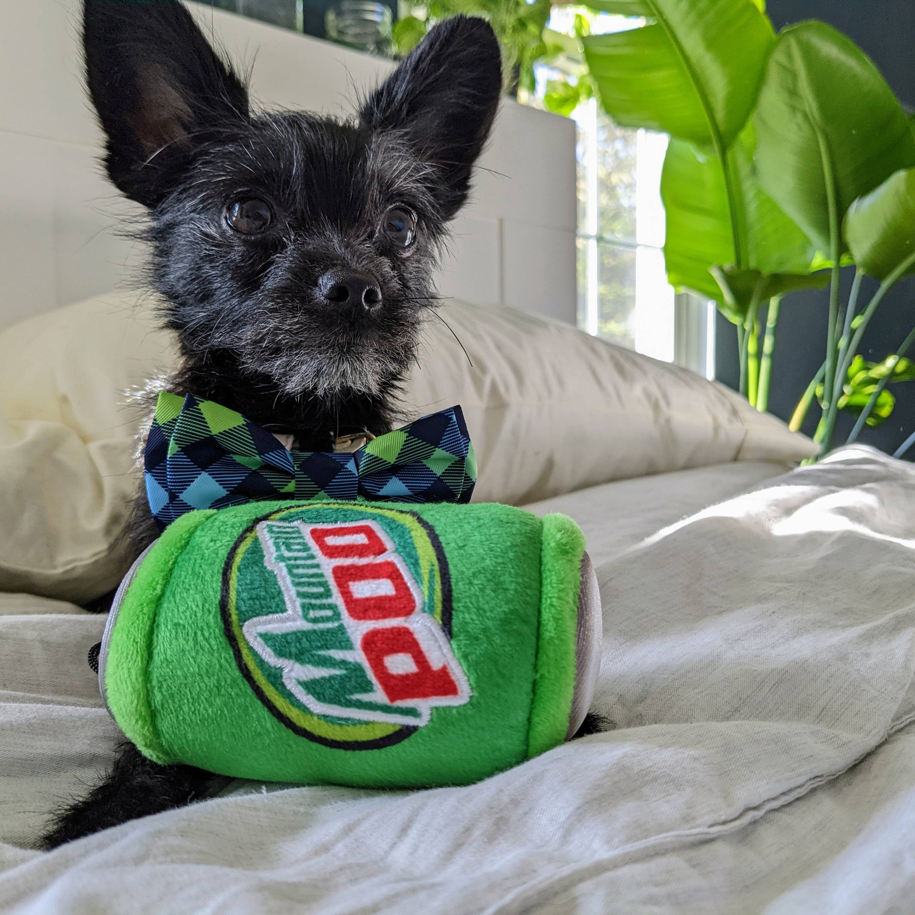 Mountain Poo Small Dog Toy – Plush Citrus Soda Parody