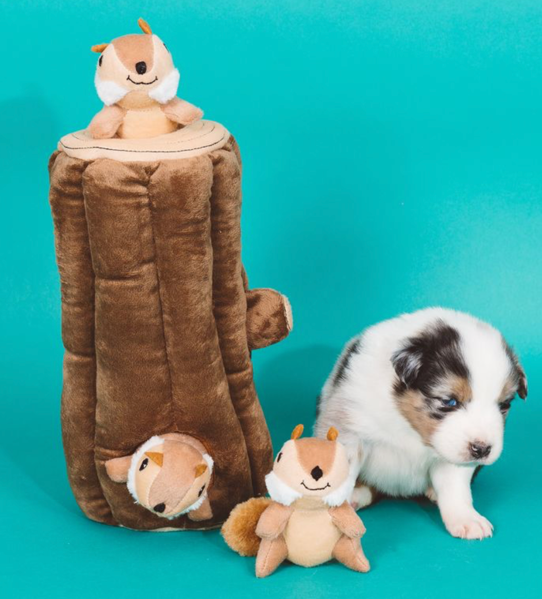 Zippy Burrow - Log with 3 Chipmunks | Interactive Hide and Seek Toy