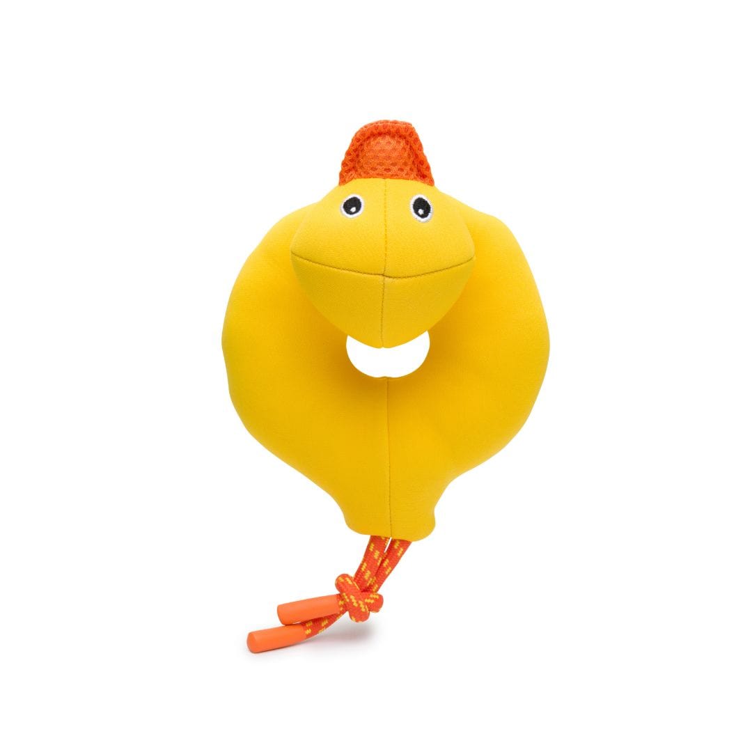 Floatie Duck (fabdog®)