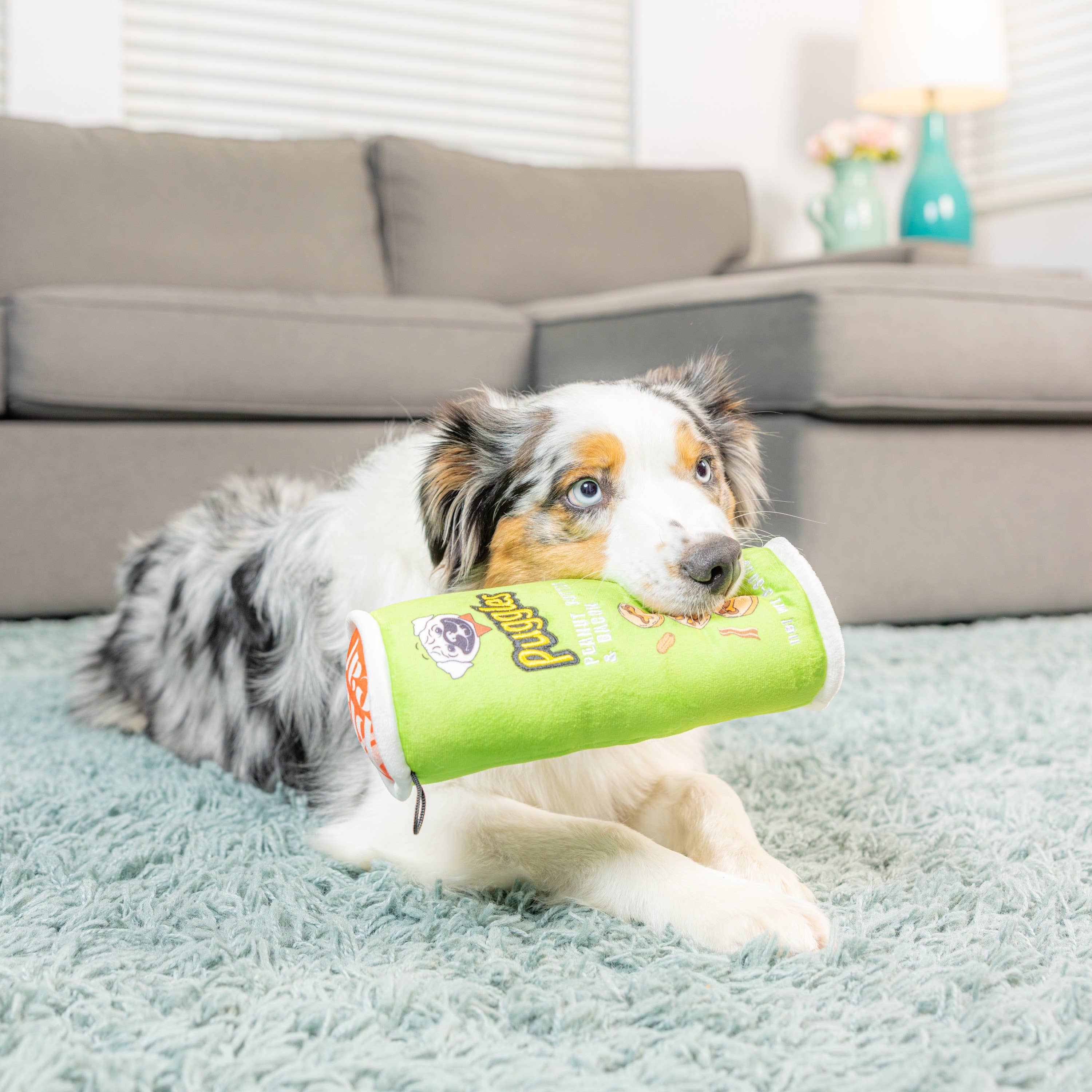 Puggles Can Large Dog Toy – Potato Chip Parody Plush Squeaker