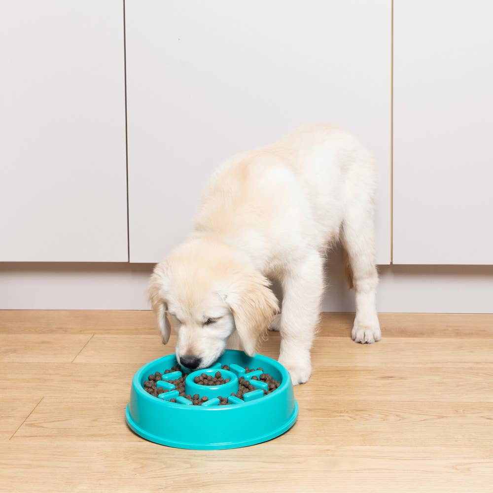 ZippyPaws Happy Bowl Donut | Slow Feeder Dog Bowl