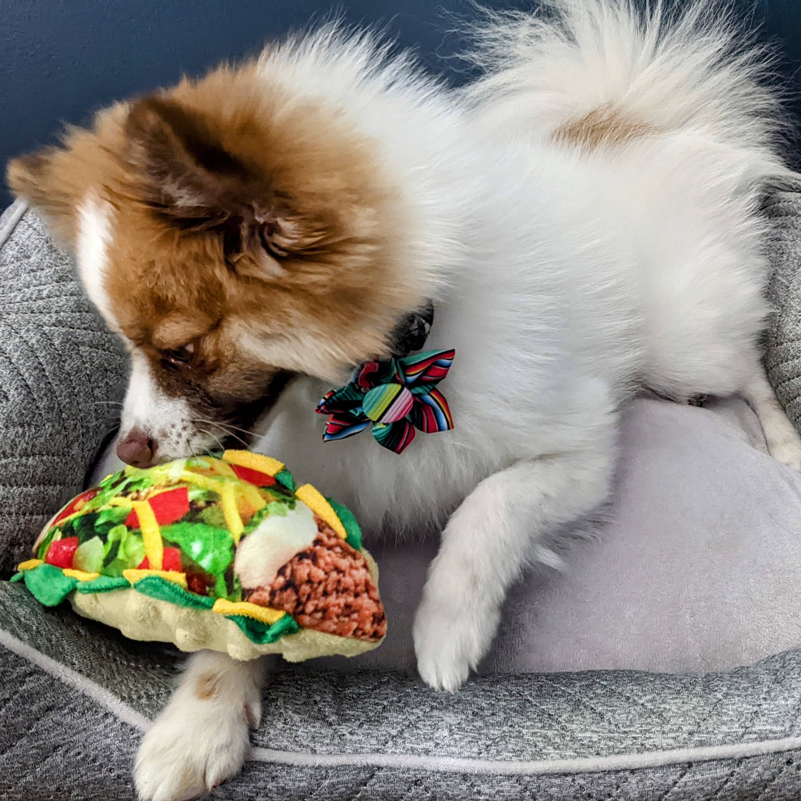 Taco Tuesday Small Dog Toy – Plush Taco Squeaker