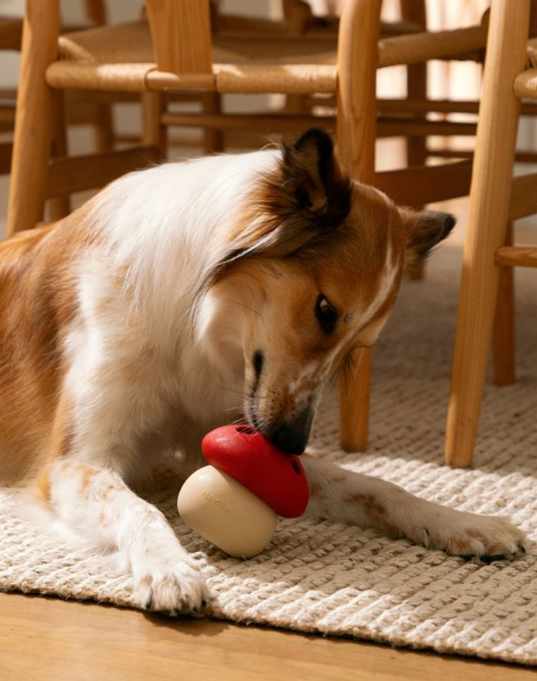 SmartyPaws Mushroom Tumbler | Interactive Treat Dispenser & Puzzle