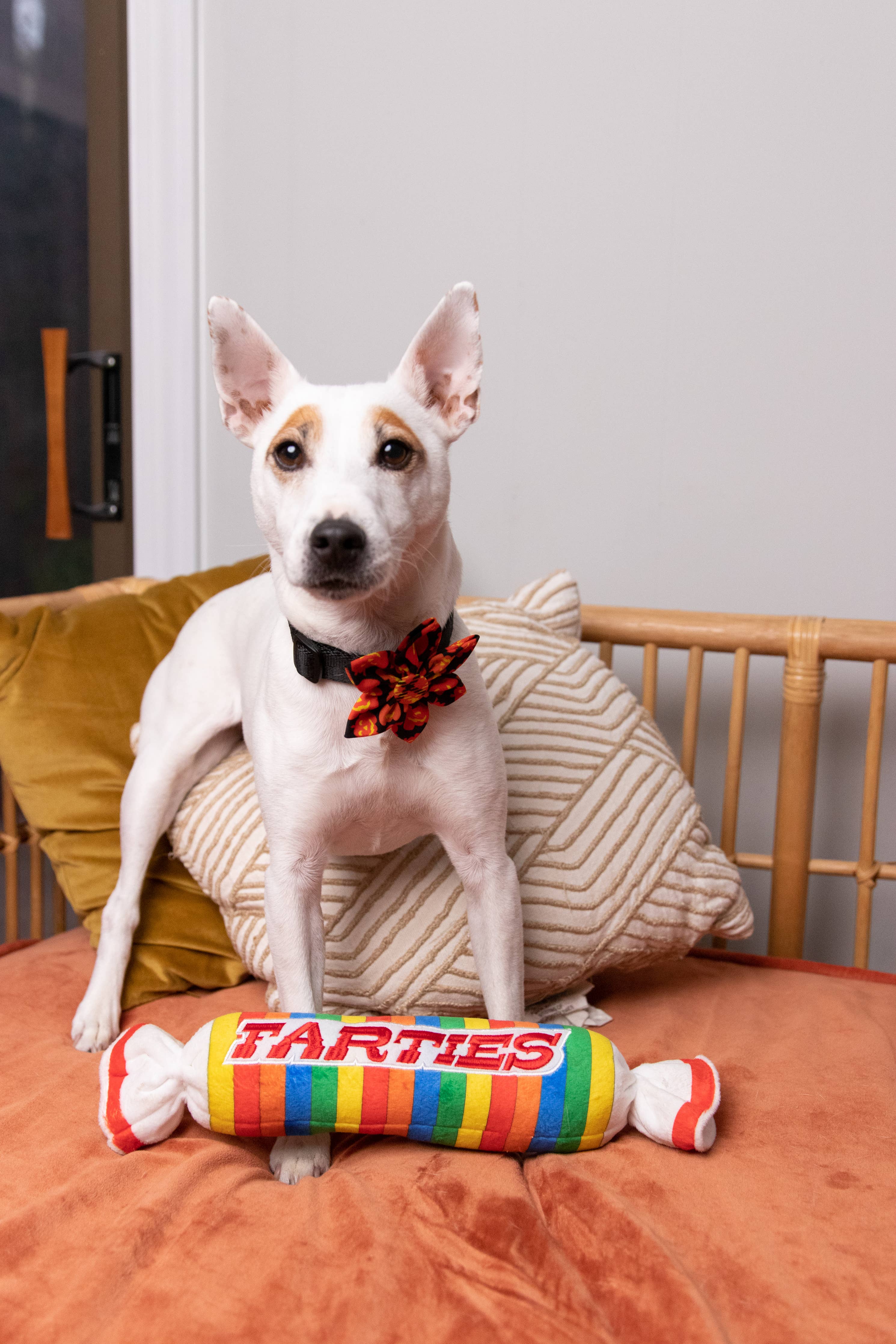 Farties Dog Toy (Small)