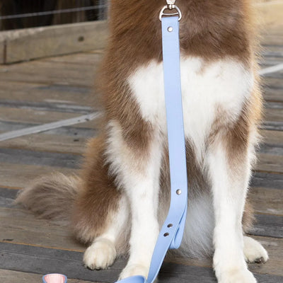 Aria the Fox Blue Sky Orchid Waterproof Dog Leash | Light Blue & Pink