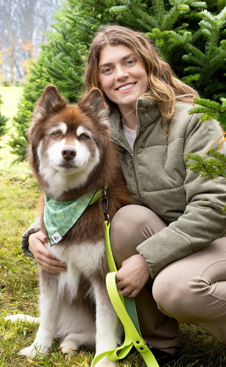Aria the Fox Mossy Pine Waterproof Dog Collar | Earthy Green