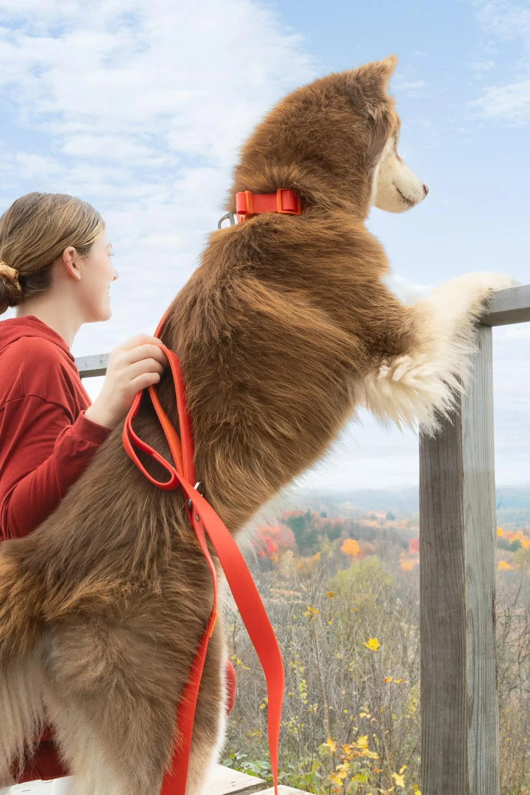 Aria the Fox Scarlet Peaks Waterproof Dog Collar | Vibrant Red