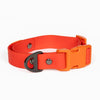 Aria the Fox Scarlet Peaks Waterproof Dog Collar | Vibrant Red