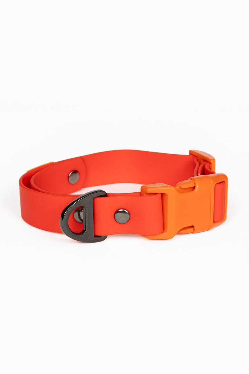 Aria the Fox Scarlet Peaks Waterproof Dog Collar | Vibrant Red