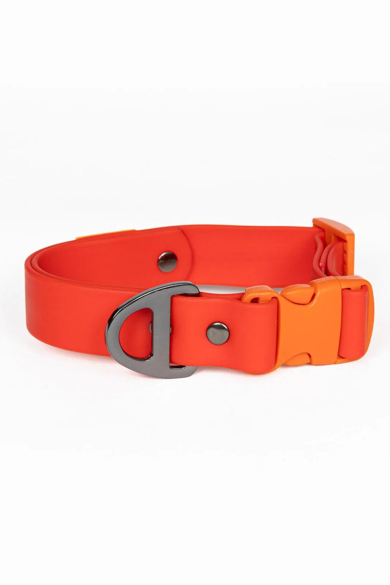 Aria the Fox Scarlet Peaks Waterproof Dog Collar | Vibrant Red