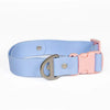 Aria the Fox Blue Sky Orchid Waterproof Dog Collar | Light Blue & Pink