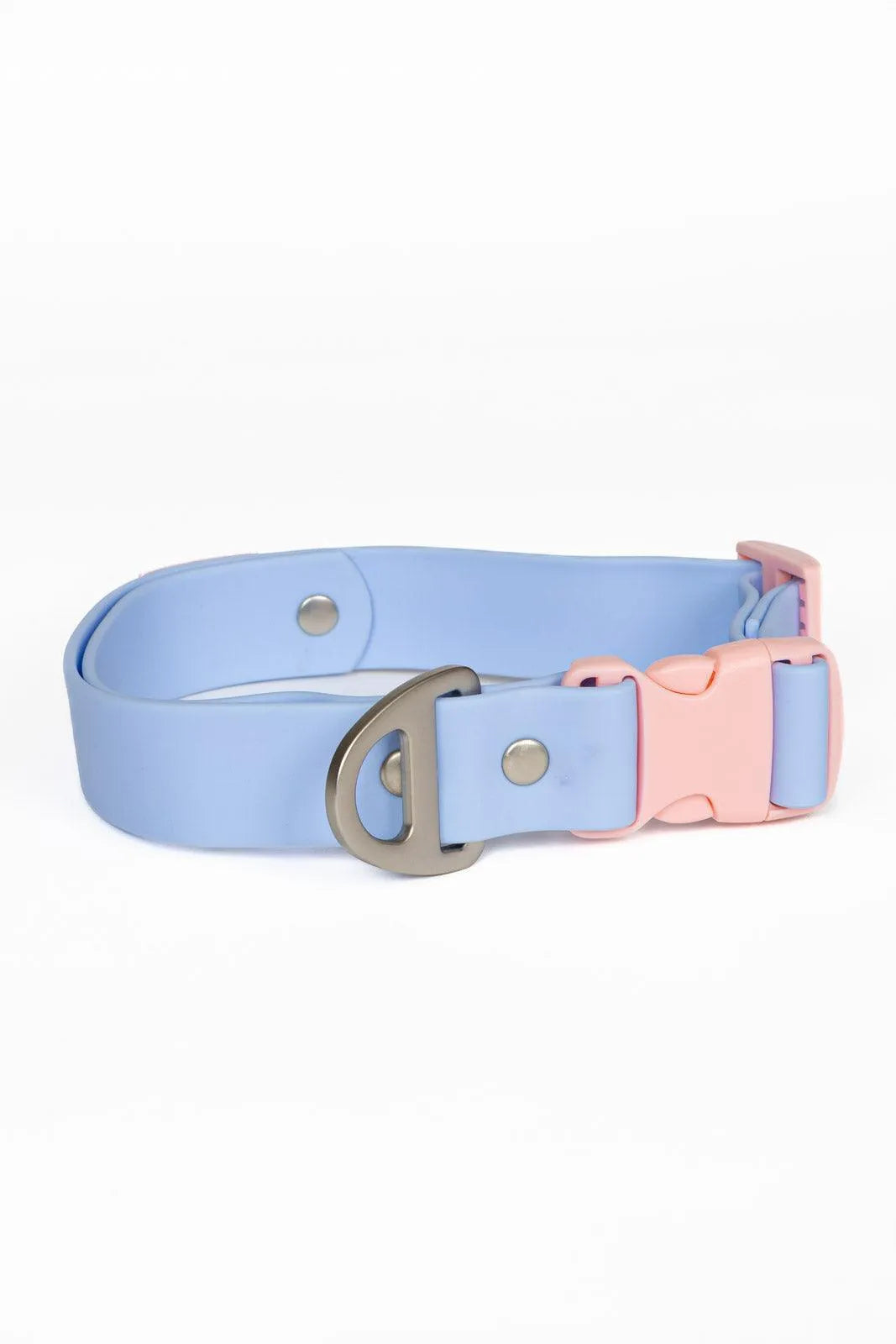 Aria the Fox Blue Sky Orchid Waterproof Dog Collar | Light Blue & Pink