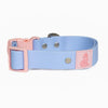 Aria the Fox Blue Sky Orchid Waterproof Dog Collar | Light Blue & Pink