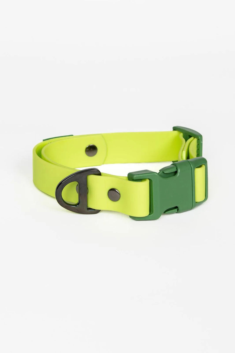 Aria the Fox Mossy Pine Waterproof Dog Collar | Earthy Green