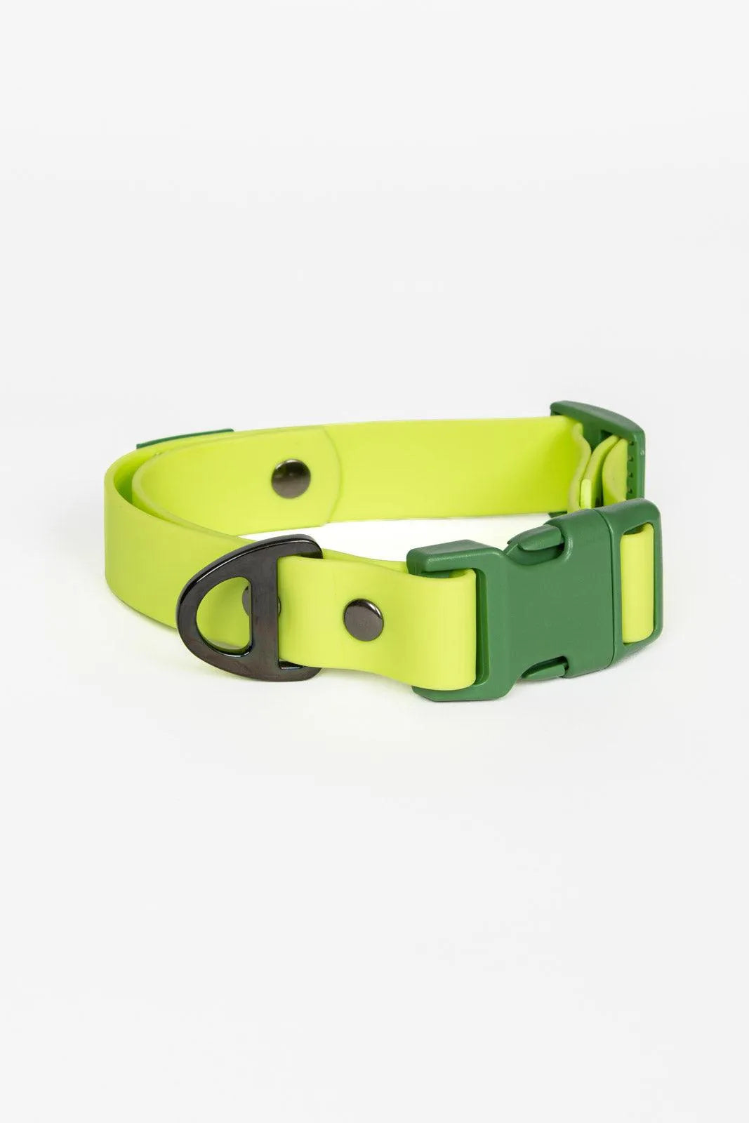 Aria the Fox Mossy Pine Waterproof Dog Collar | Earthy Green