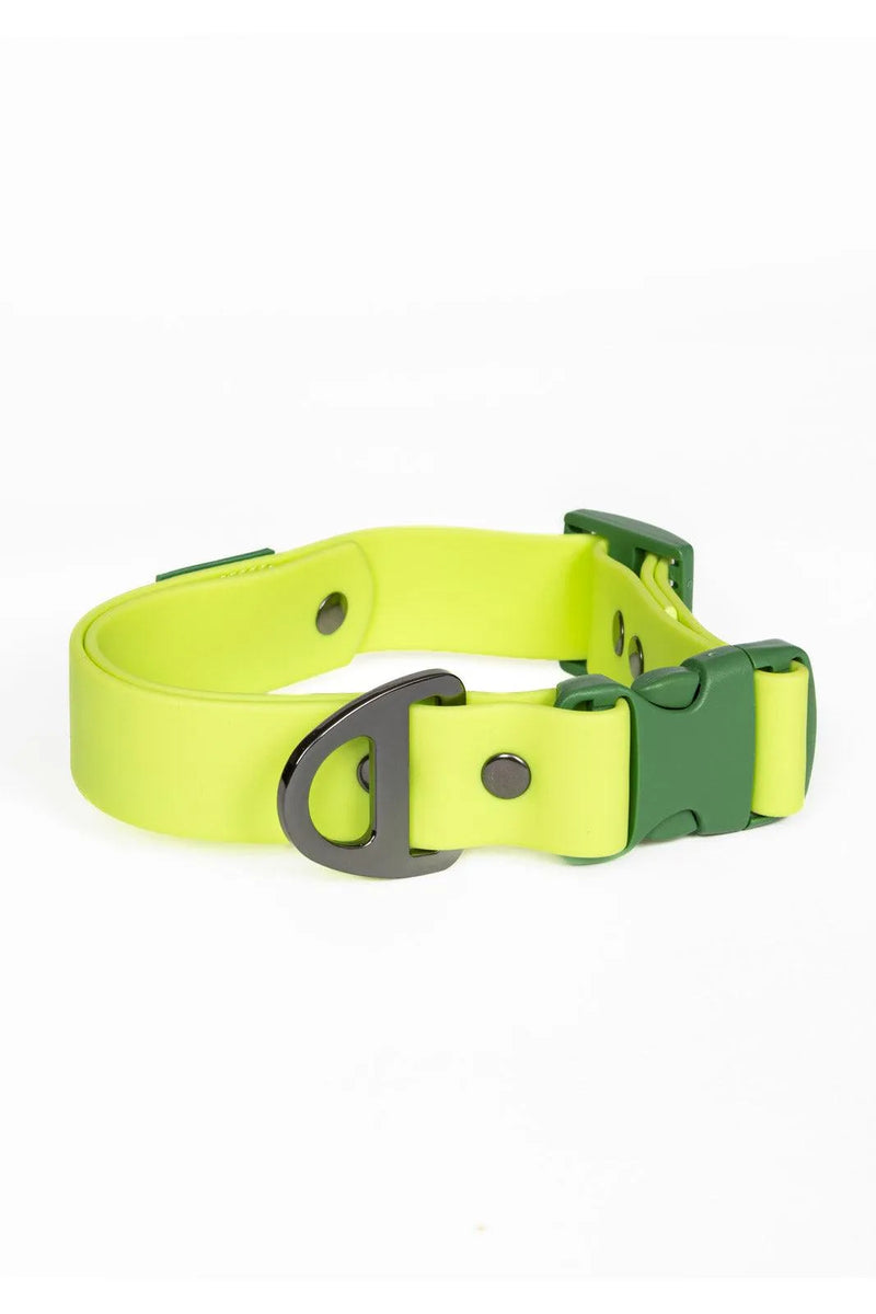 Aria the Fox Mossy Pine Waterproof Dog Collar | Earthy Green