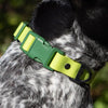 Aria the Fox Mossy Pine Waterproof Dog Collar | Earthy Green