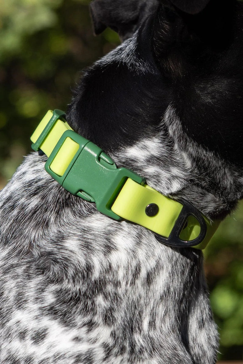 Aria the Fox Mossy Pine Waterproof Dog Collar | Earthy Green