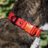 Aria the Fox Scarlet Peaks Waterproof Dog Collar | Vibrant Red