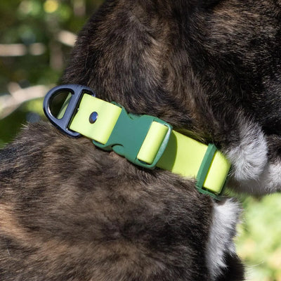 Aria the Fox Mossy Pine Waterproof Dog Collar | Earthy Green