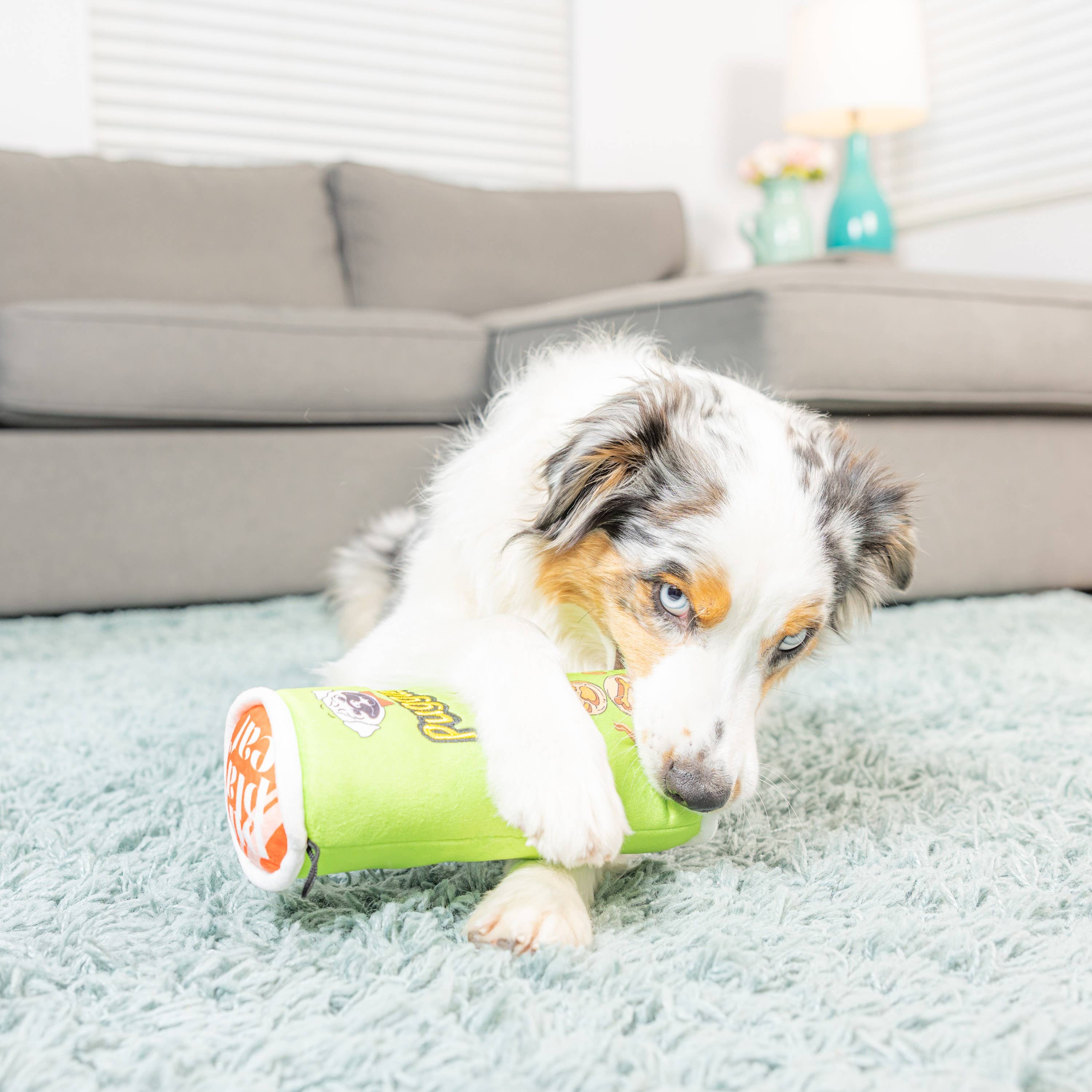 Puggles Can Large Dog Toy – Potato Chip Parody Plush Squeaker