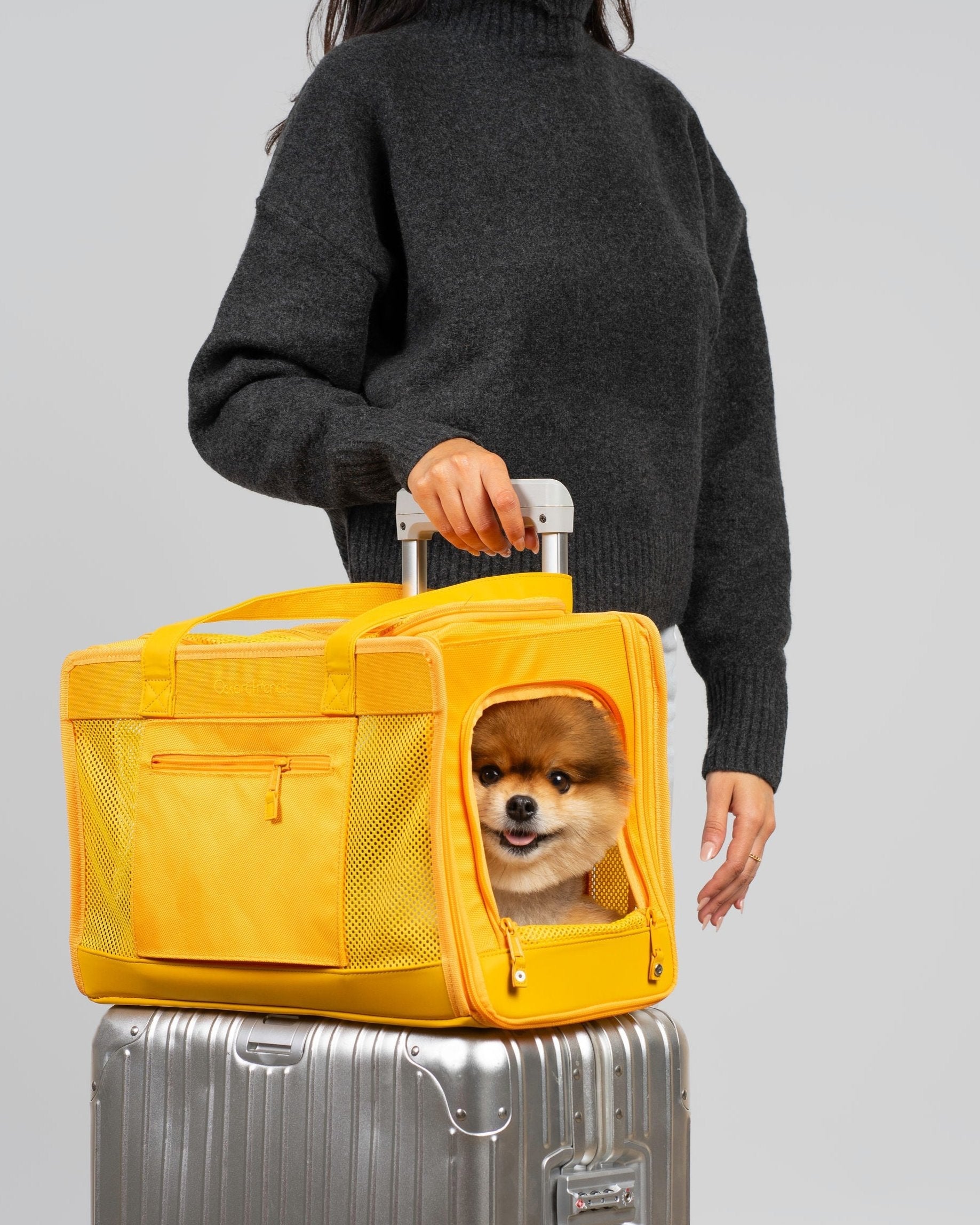 Sunburst Yellow Pet Travel Carrier | High-Visibility Dog Bag