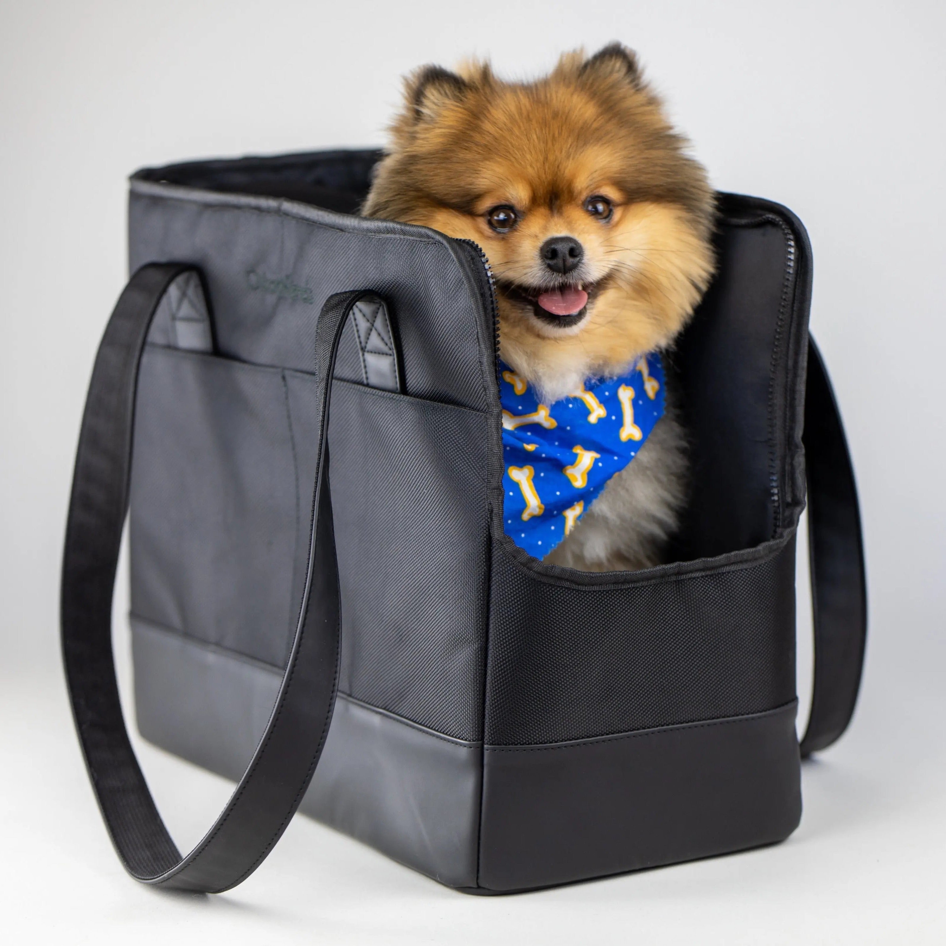 All-Black Pet Tote | Sleek City Carrier