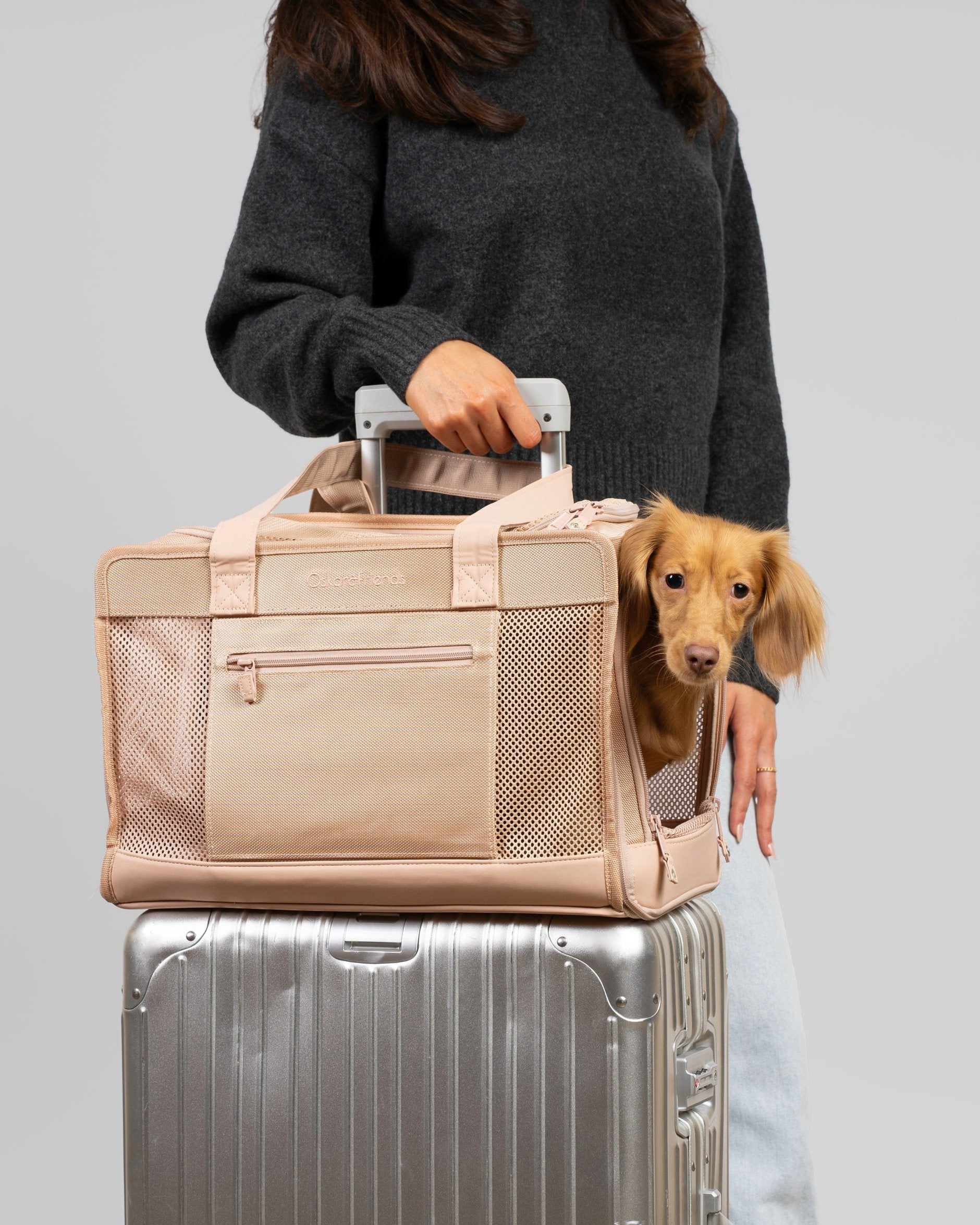 Beige Pet Travel Carrier | Structured Soft-Sided Bag