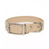 Aria the Fox Champagne Fizz Vegan Leather Dog Collar | Luxury Gold
