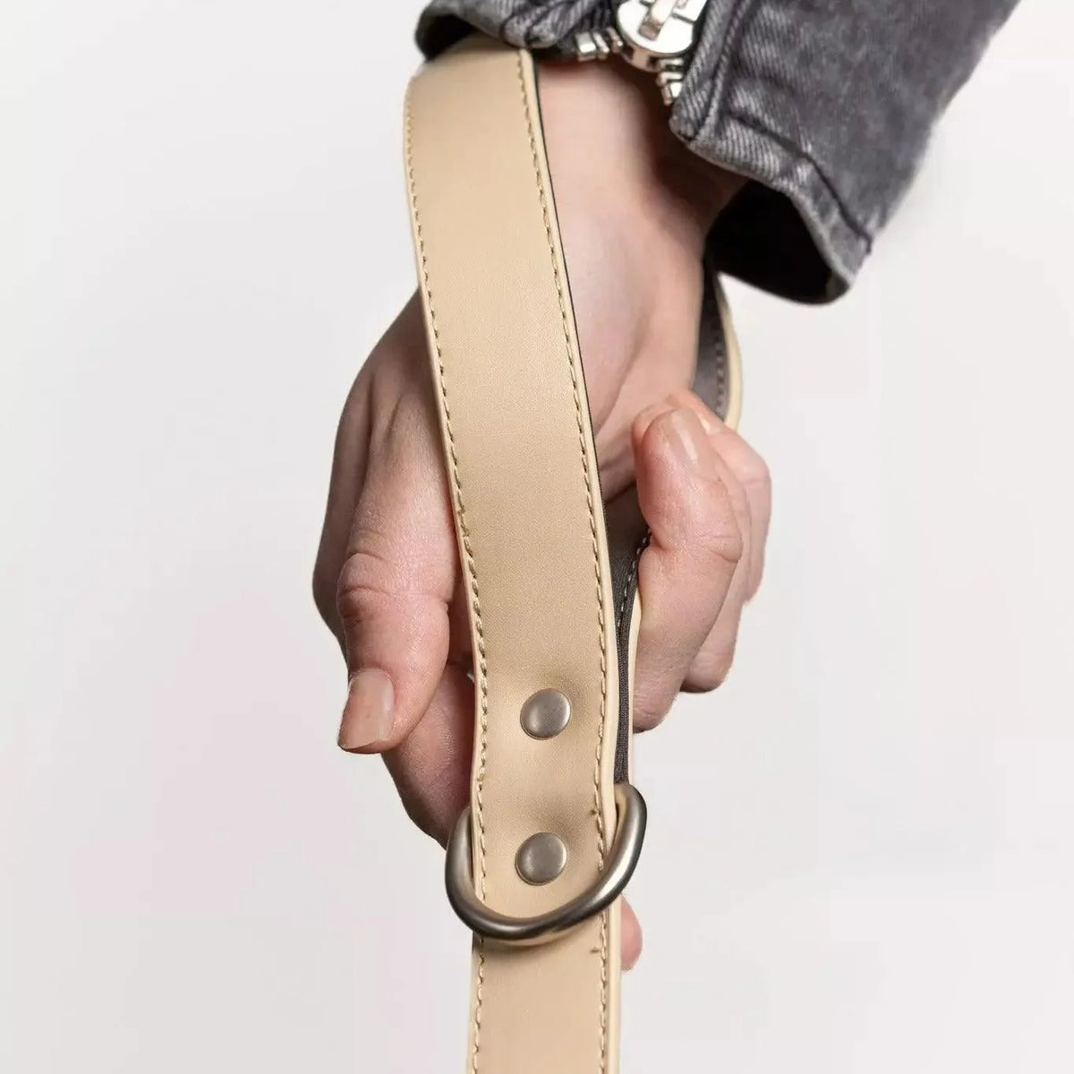 Aria the Fox Champagne Fizz Vegan Leather Dog Leash | Luxury Gold