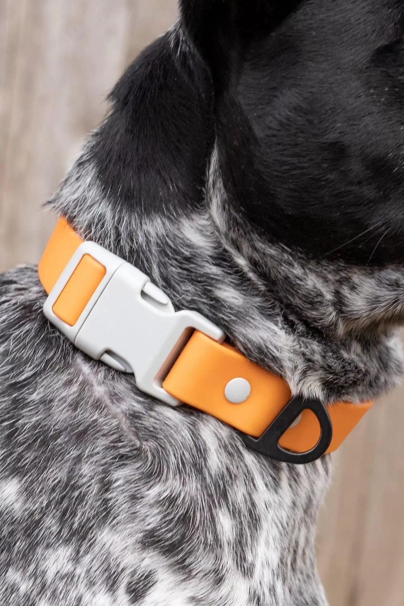 Aria the Fox Crimson Glow Waterproof Dog Collar | Bright Orange