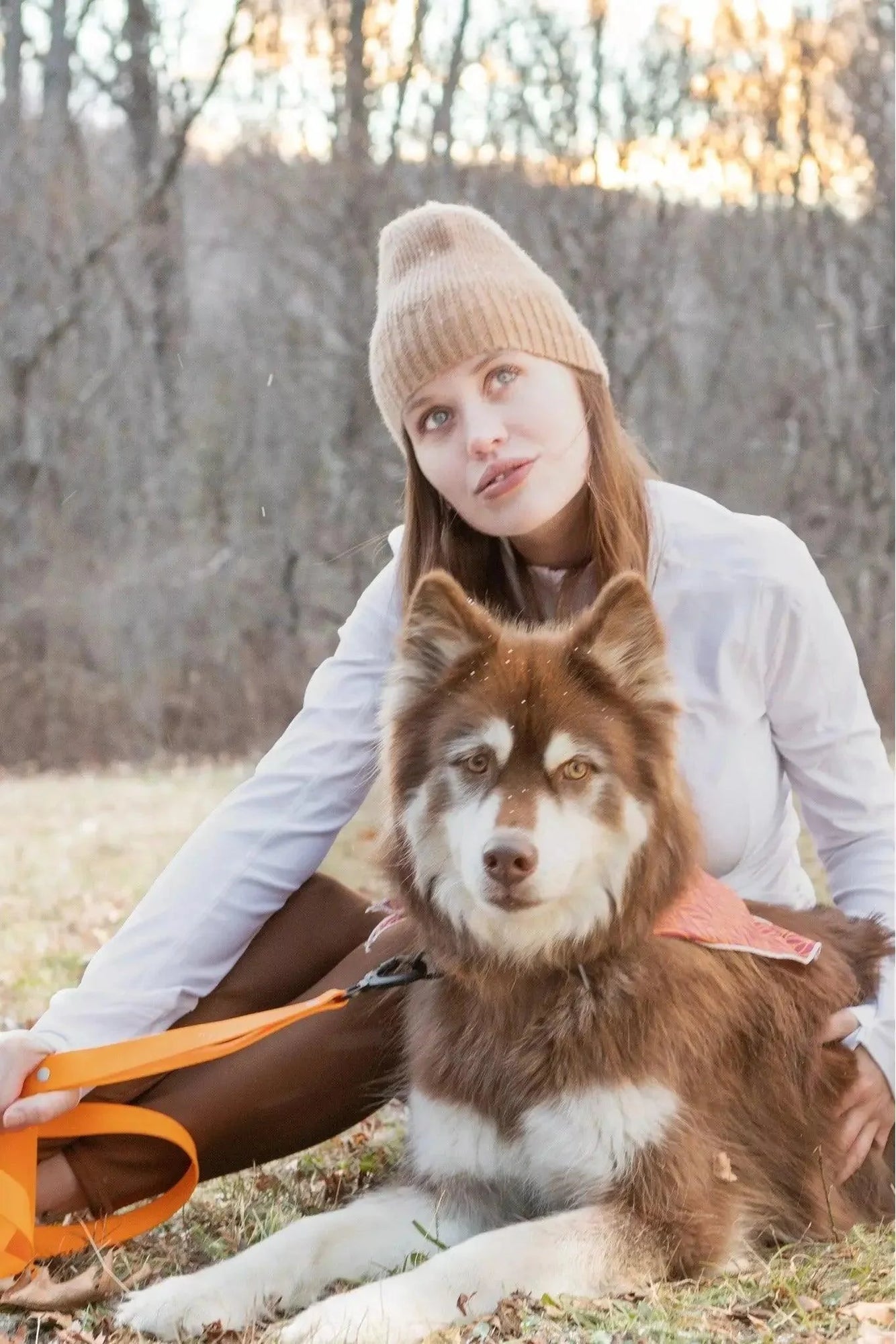 Aria the Fox Crimson Glow Waterproof Dog Collar | Bright Orange