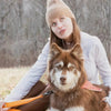 Aria the Fox Crimson Glow Waterproof Dog Leash | Bright Orange