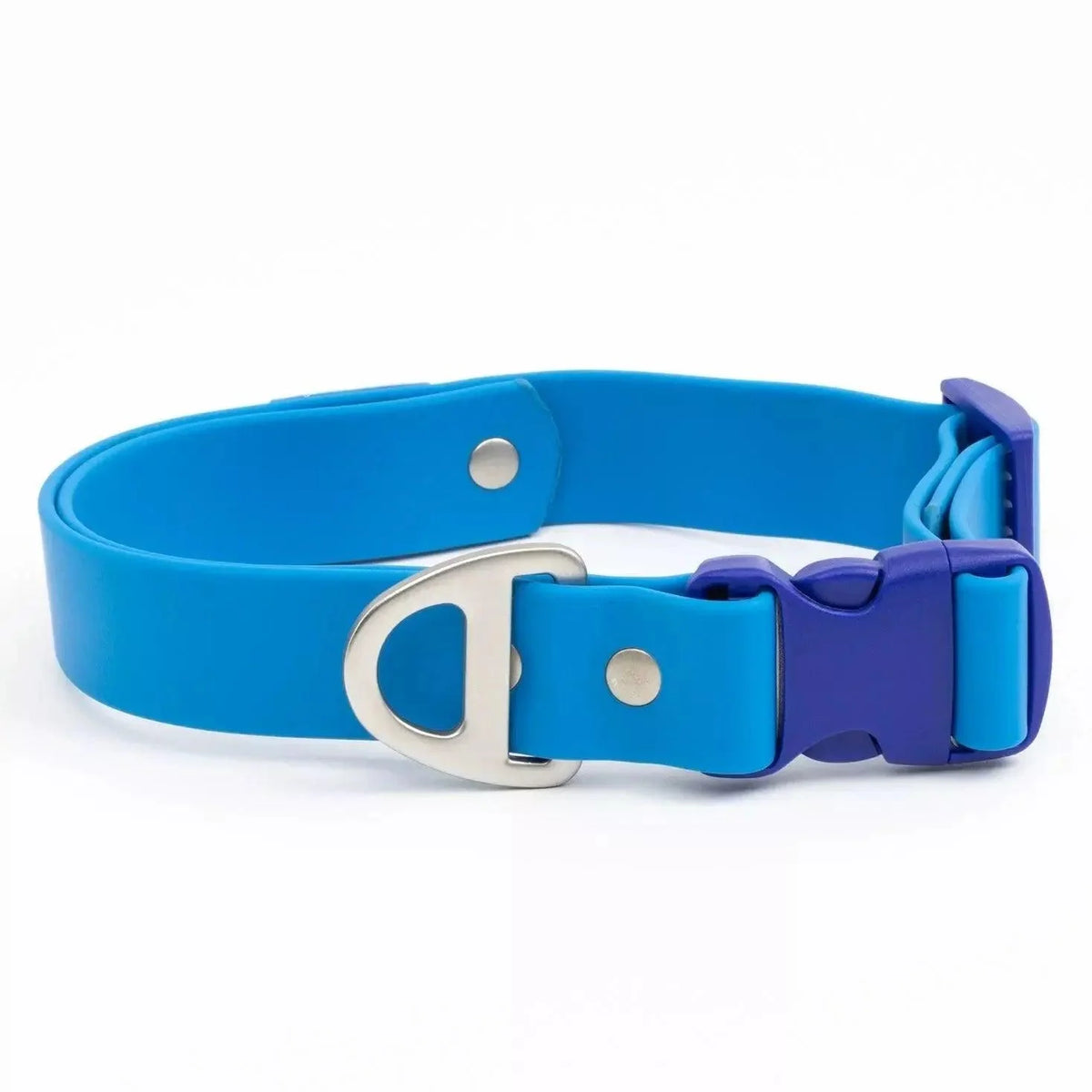 Aria the Fox Dockside Adventures Waterproof Dog Collar | Navy Blue