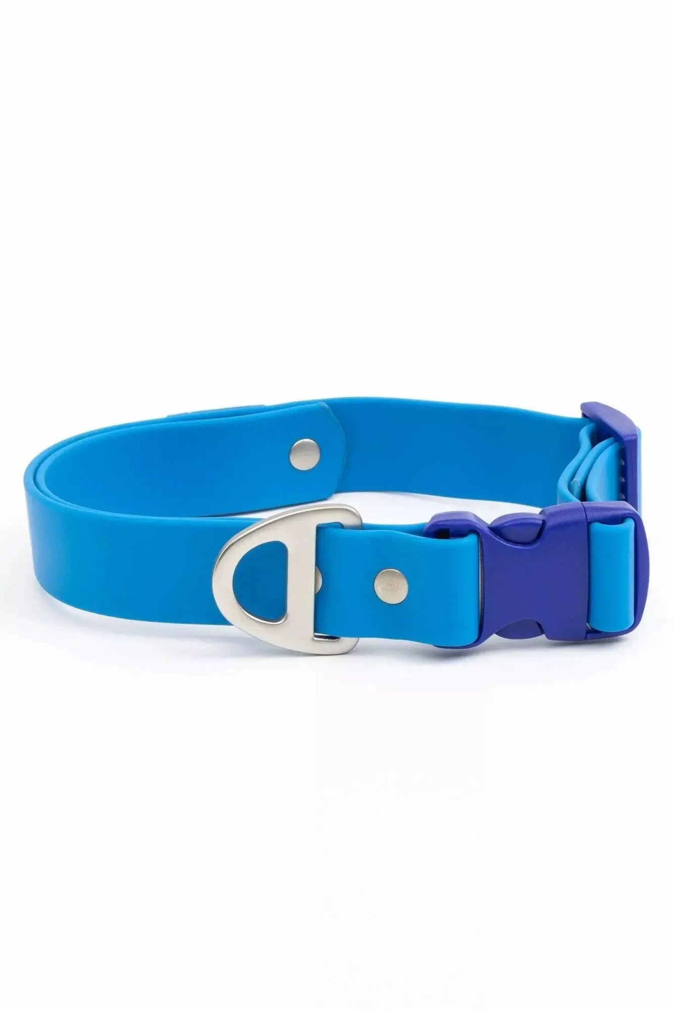 Aria the Fox Dockside Adventures Waterproof Dog Collar | Navy Blue
