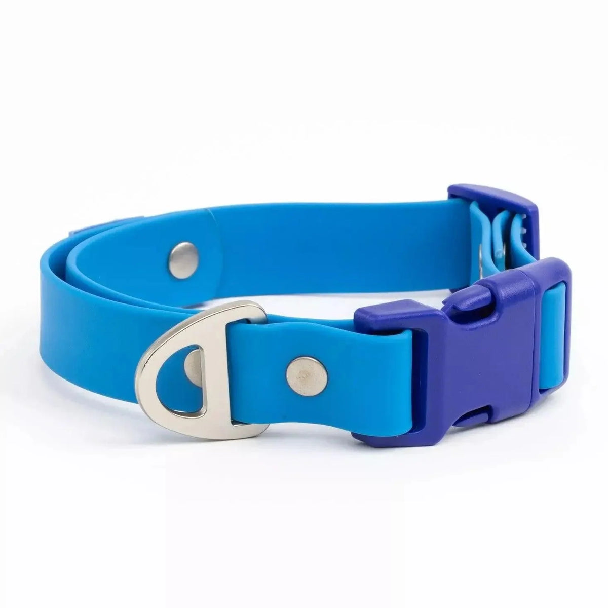Aria the Fox Dockside Adventures Waterproof Dog Collar | Navy Blue