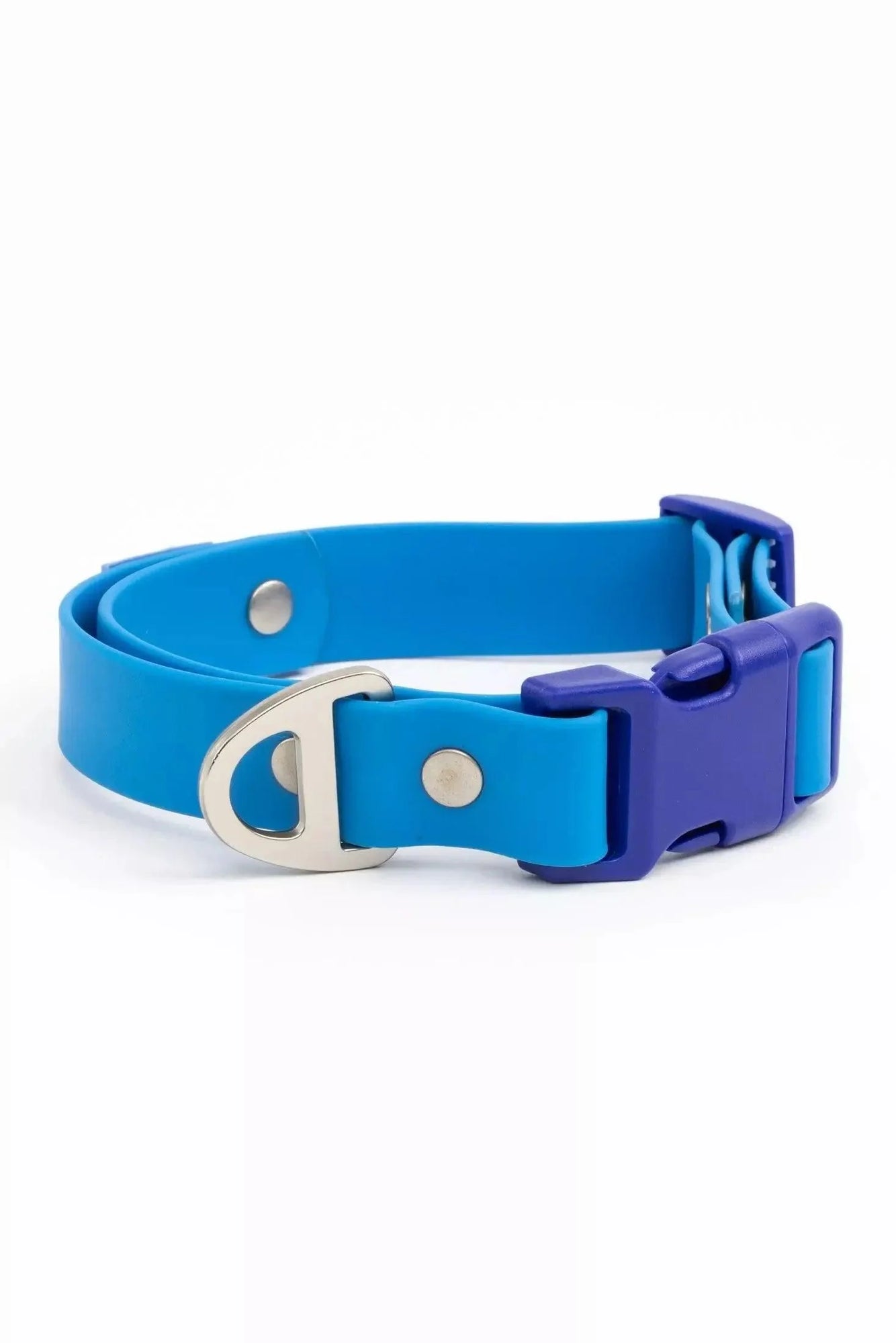 Aria the Fox Dockside Adventures Waterproof Dog Collar | Navy Blue