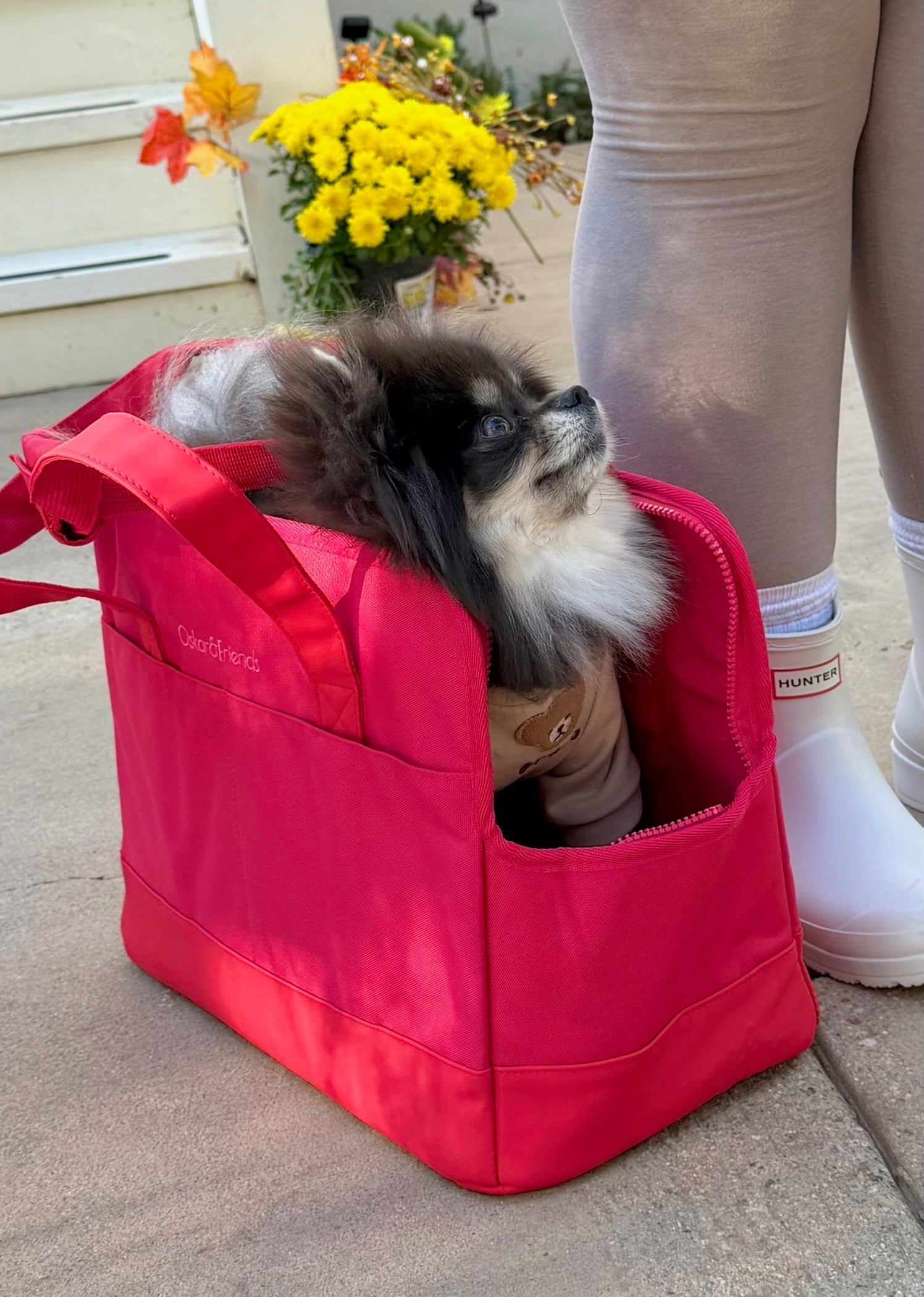 Rouge Berry Pet Tote | Stylish Red Dog Carrier